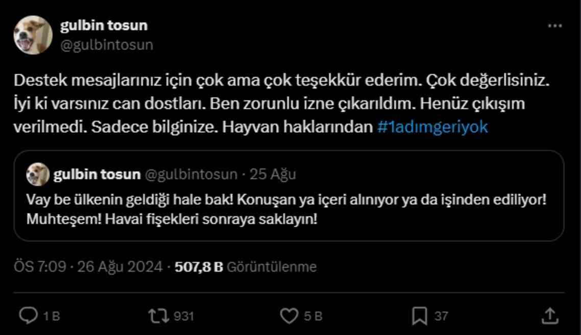 Gülbin Tosun kovuldu mu? Gülbin Tosun NOW TV'de neden yok?