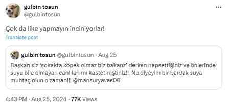 Gülbin Tosun ne dedi? Gülbin Tosun, Mansur Yavaş paylaşımı nedir? Gülbin Tosun ne dedi? Gülbin Tosun, Mansur Yavaş paylaşımı nedir?