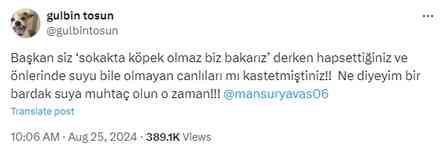 Gülbin Tosun ne dedi? Gülbin Tosun, Mansur Yavaş paylaşımı nedir? Gülbin Tosun ne dedi? Gülbin Tosun, Mansur Yavaş paylaşımı nedir?