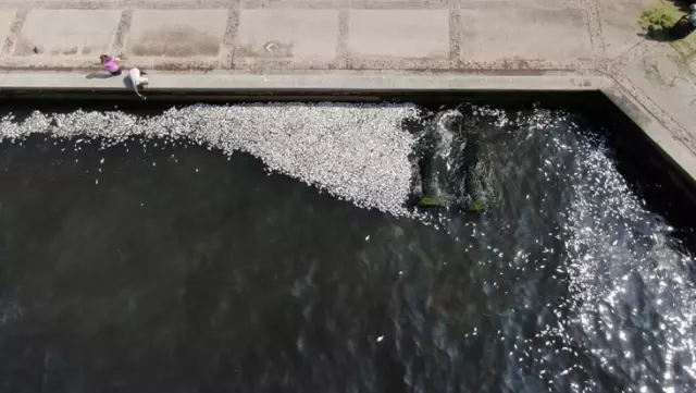 Warning signs have been hung to prevent fishing in Izmir Bay.