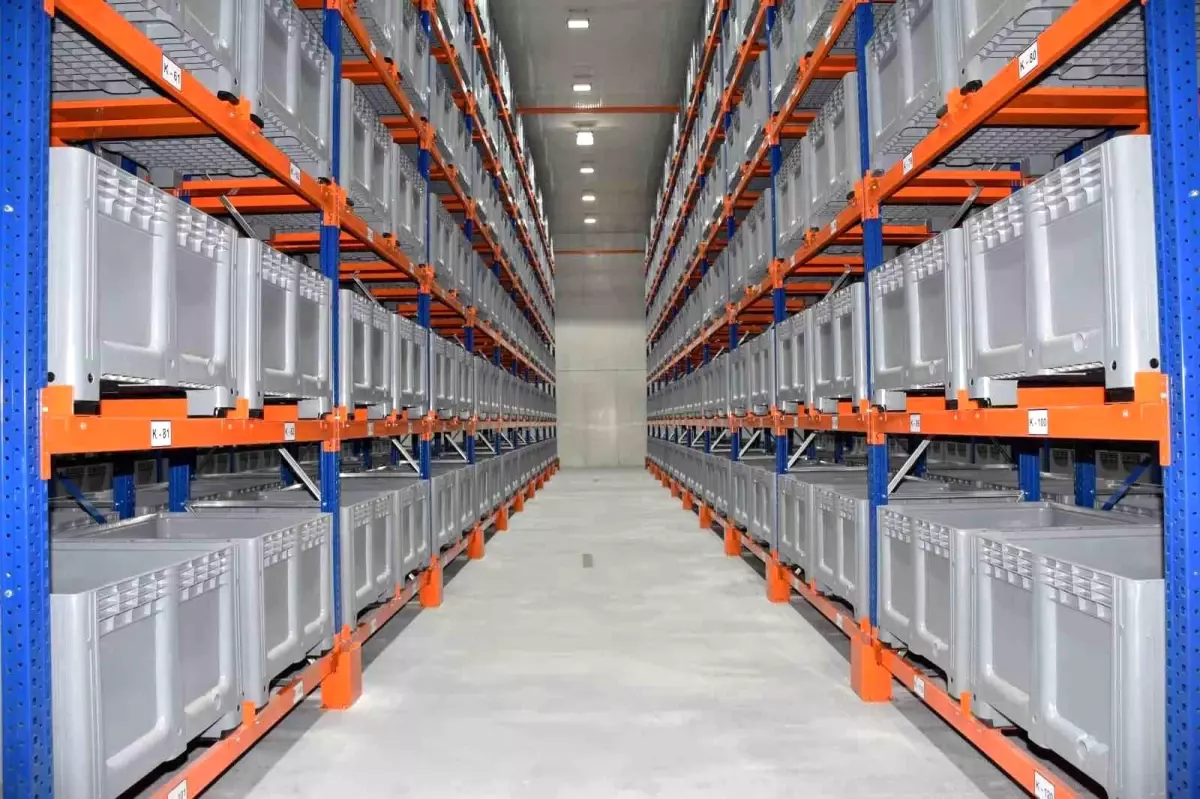 TMO Genel Müdürü Ahmet Güldel Malatya'da Kayısı İncelemelerinde Bulundu