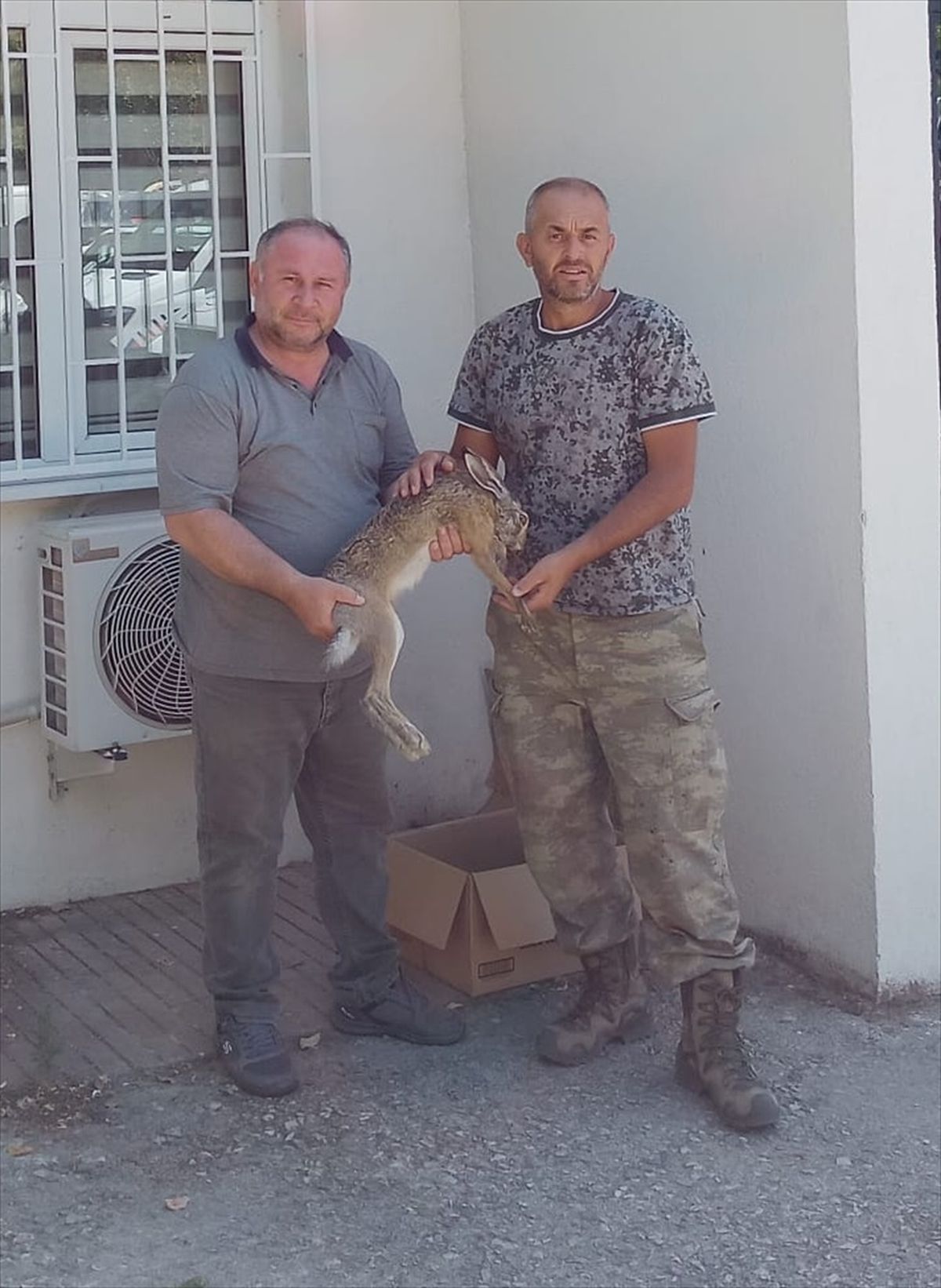 Kırklareli'nde yaralı tavşan tedavi altına alındı