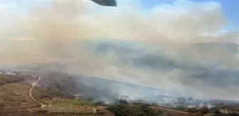 İznik'teki Orman Yangınına Havadan ve Karadan Müdahale Sürüyor