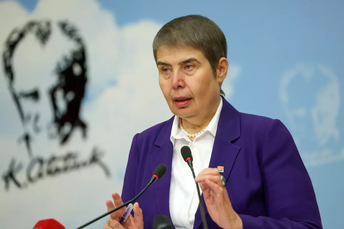 CHP Genel Başkan Yardımcısı Zeliha Aksaz Şahbaz: Şehir hastaneleri kamu sağlık harcamalarında kara delik