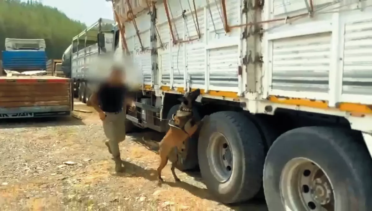 Osmaniye'de Kamyonetin İçinde Uyuşturucu ve Tabanca Ele Geçirildi