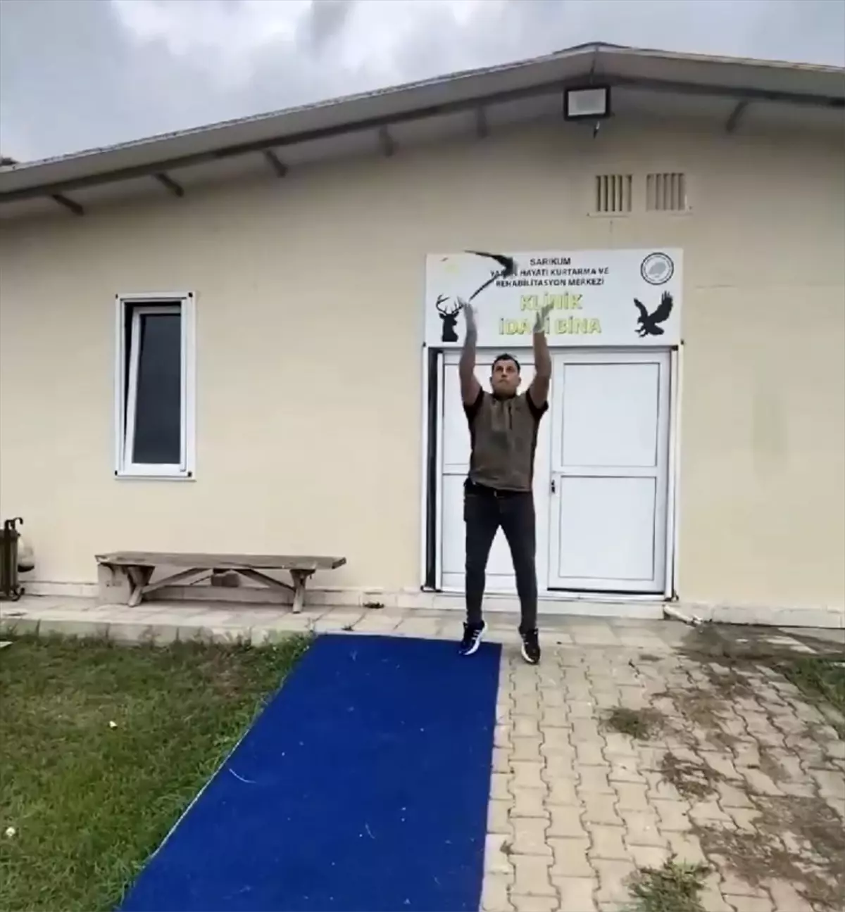 Sinop'ta Tedavi Edilen Ebabil Kuşu Doğal Yaşam Alanına Bırakıldı