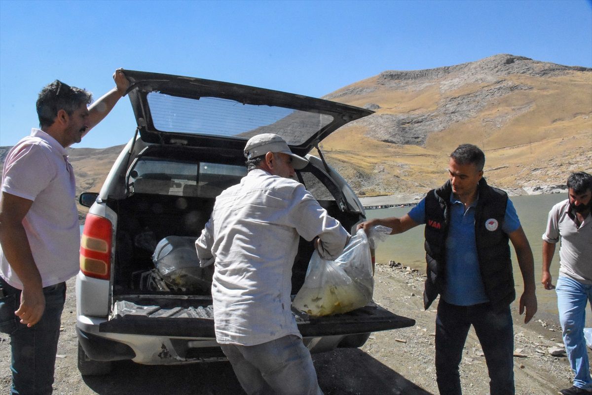 Van'da Su Kaynaklarına 400 Bin Sazan Yavrusu Bırakıldı