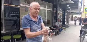 Samsun'da otomobilin altına giren kedi kurtarıldı