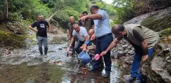 Salıpazarı'nda Dereye 5 Bin Kırmızı Benekli Alabalık Yavrusu Salındı