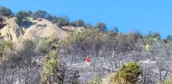 Amasya'da çıkan orman yangınında 2 hektar alan zarar gördü