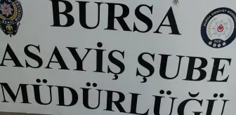 Bursa'da Hırsızlık Şüphelisi Tutuklandı