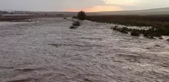 Konya'nın Yunak ilçesini şiddetli sağanak vurdu, tarım arazilerini su bastı