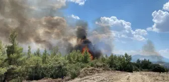 Muğla'da çıkan orman yangını havadan ve karadan müdahaleyle söndürüldü