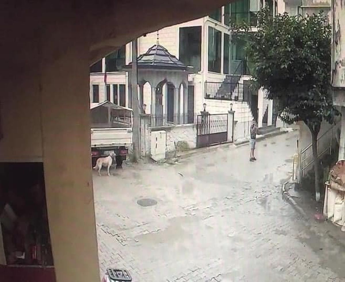 Ordu'da İçki İçme Tartışması Kanlı Bitti