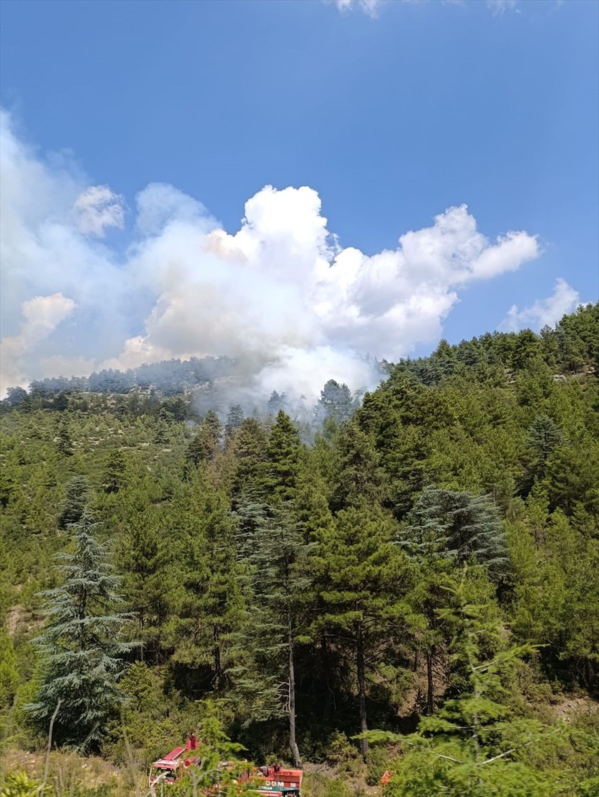 Burdur'un Bucak ilçesinde çıkan orman yangını söndürüldü