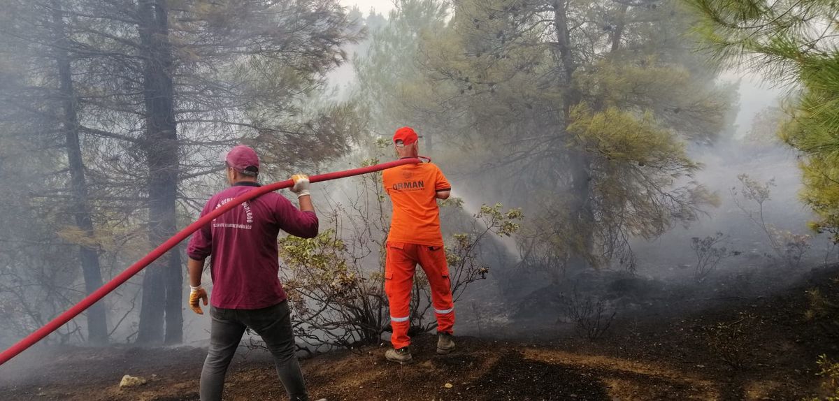 Kahramanmaraş'ta Orman Yangını Devam Ediyor