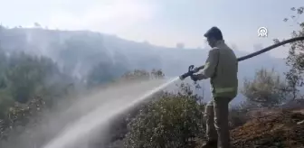 Kahramanmaraş'ta Orman Yangını: Havadan ve Karadan Müdahale Devam Ediyor