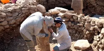 Şanlıurfa'da Neolitik Döneme Ait Yaban Eşeği Figürü Bulundu