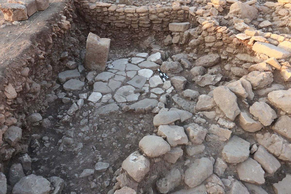 Şanlıurfa Karahantepe'de Yaban Eşeği Figürü Bulundu