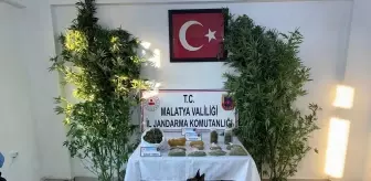 Malatya'da uyuşturucu operasyonunda 1 şüpheli gözaltına alındı