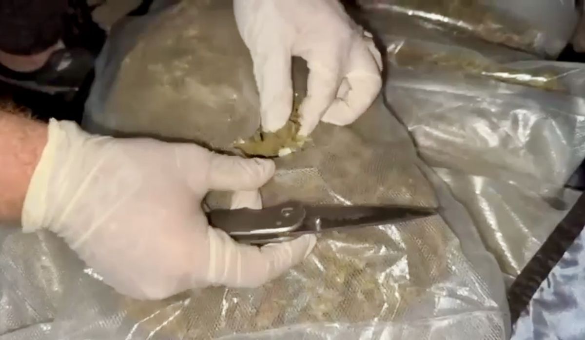 Osmaniye'de 6,5 Kilogram Skunk Ele Geçirildi, 2 Şüpheli Tutuklandı