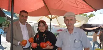 Akıncılar'da Ata Tohumuyla Yetiştirilen Manda Yüreği Domatesinin Hasadı Başladı