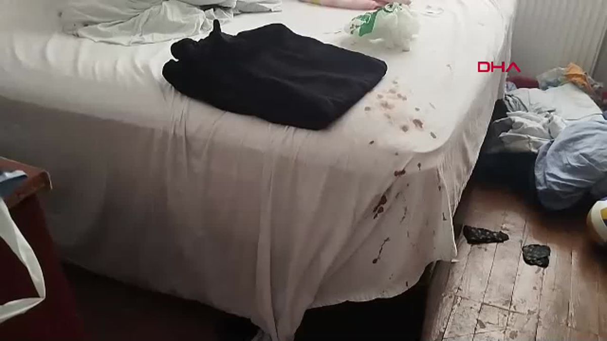 Zonguldak'ta bir kadın öldürüldü, 3 kişi yaralandı