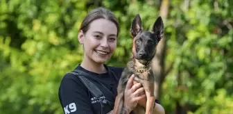 Prematüre Doğan Belçika Kurdu Arama Kurtarma Köpeği Olarak Yetiştiriliyor