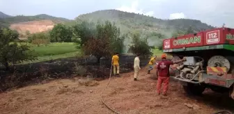 Bilecik'te Orman Yangını Kısa Sürede Söndürüldü