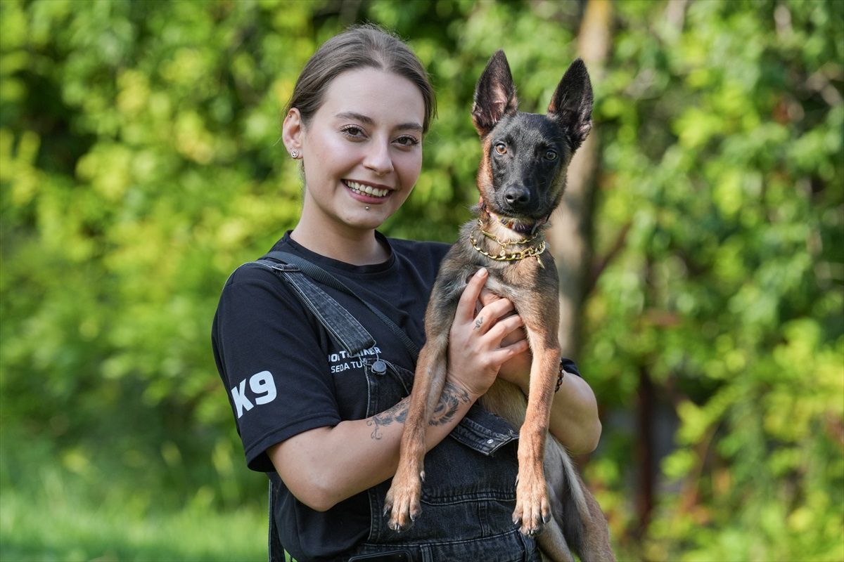 Prematüre Doğan Belçika Kurdu Arama Kurtarma Köpeği Olarak Yetiştiriliyor