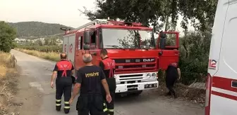 Yalova'yı karıştıran olay! 'Uçak düştü' denildi, gerçek bambaşka çıktı