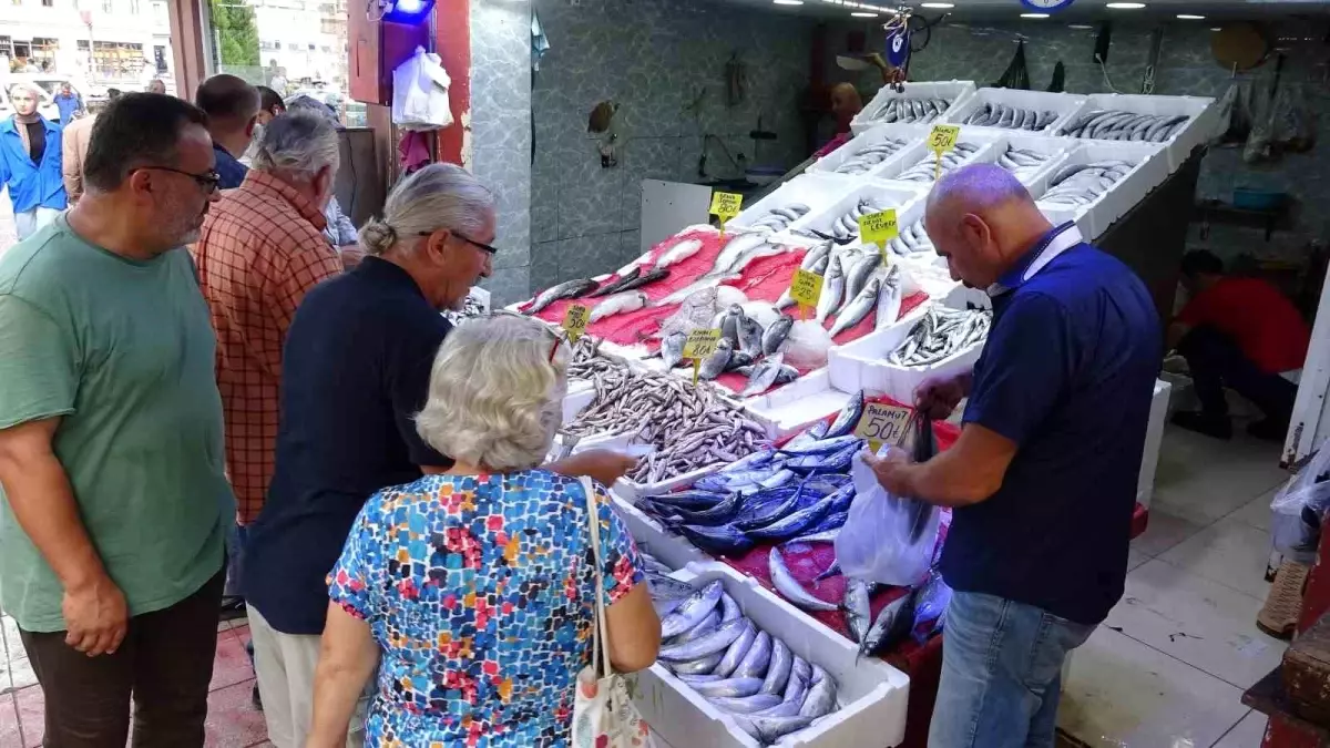 Samsun'da Palamut Fiyatları Düşüşe Geçti