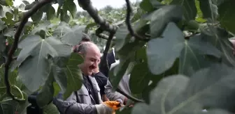 Mustafa Varank: Tarımsal destekler hakkında yayılan yalanlara inanmayın