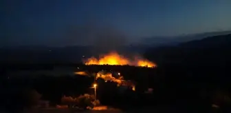 Erzincan'da Altıntaş köyünde çıkan örtü yangını kontrol altına alındı