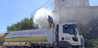 Tunceli'de çıkan yangın söndürüldü