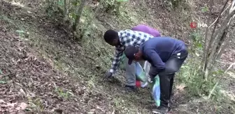 Giresun'da yerli işçi bulunamıyor: Afrikalı öğrenciler fındık bahçelerinde çalışmaya başladı