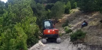 Afyonkarahisar'da Yaylada Yuvarlanan İnek Kurtarıldı