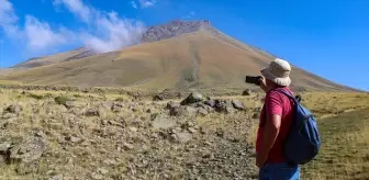 Ağrı Dağı'ndaki Bitki Türleri Araştırılıyor