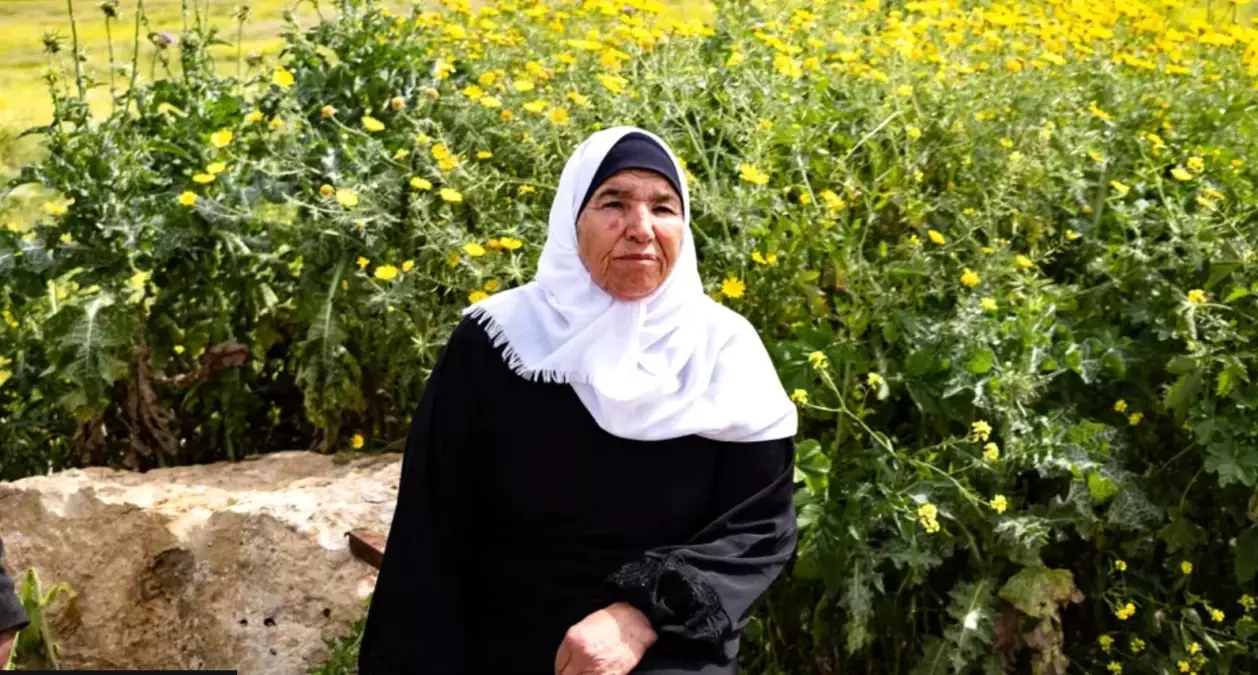 Aşırılıkçı yerleşimciler Batı Şeria'da nasıl hızla toprak ele geçiriyor?