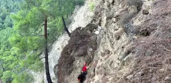 Isparta'da mahsur kalan keçiler kurtarıldı