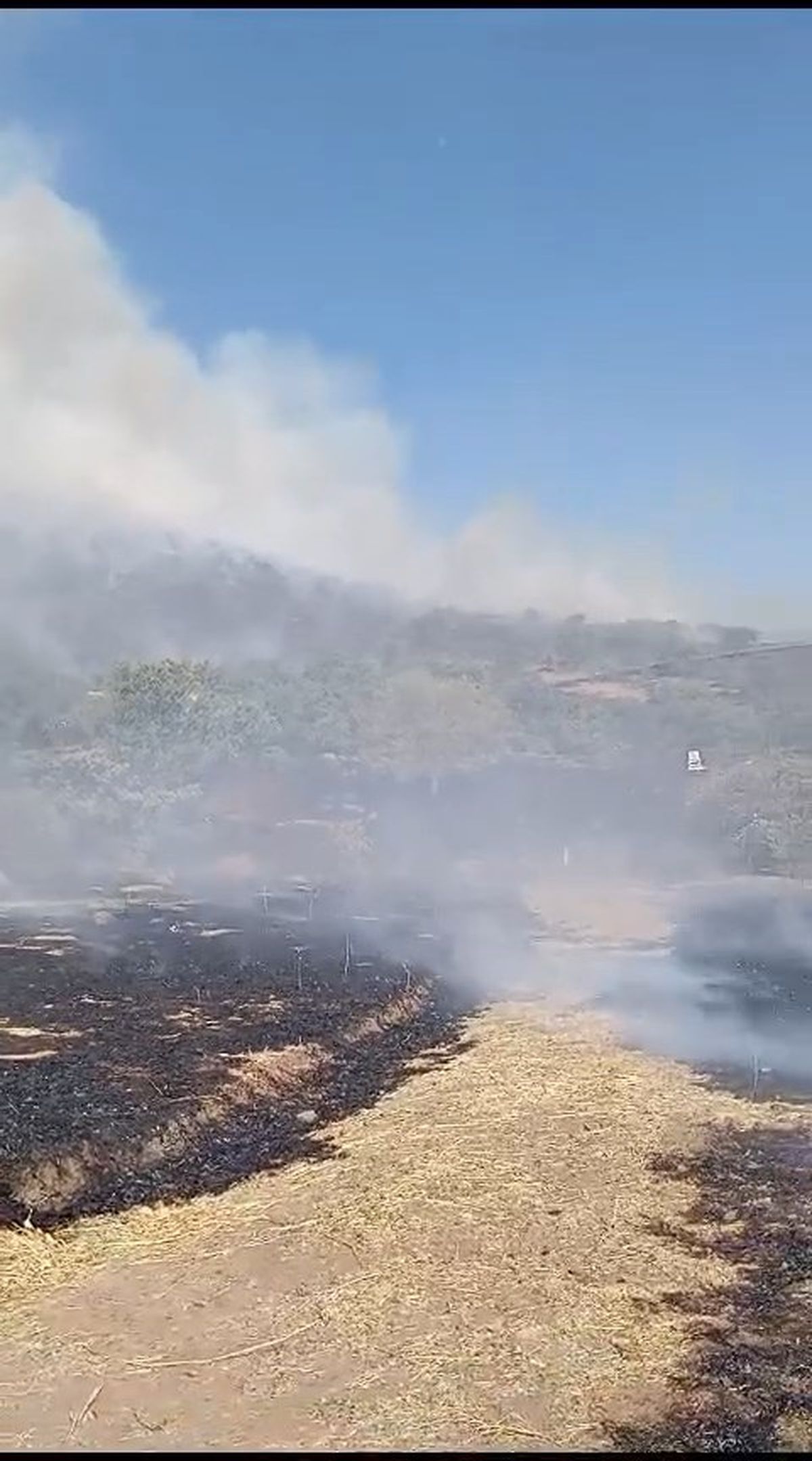 Elazığ'da Otluk Alanında Çıkan Yangın Kontrol Altına Alındı