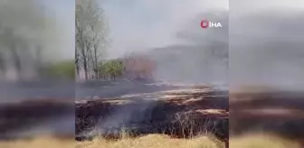 Elazığ'da otluk alanda yangın