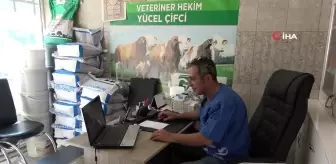 Hayvan sevgisi için hemşireliği bırakıp veteriner hekim oldu