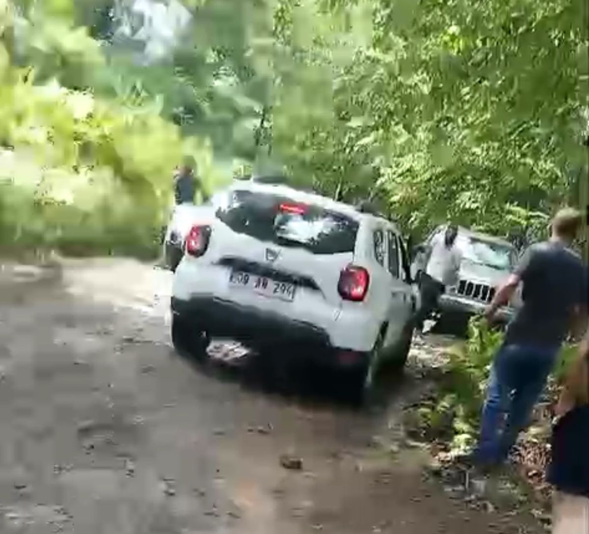 Artvin'de mesire alanı projesine karşı çıkan köylüler ile firma çalışanları arasında silahlı kavga