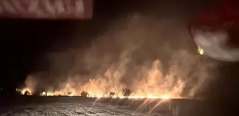 Erzincan'da anız yangını itfaiye tarafından büyümeden söndürüldü