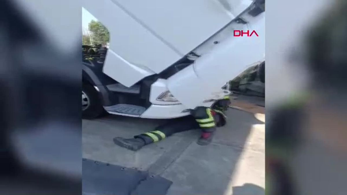 Tankerin motoruna sıkışan kedi şoförün dikkati sayesinde kurtarıldı