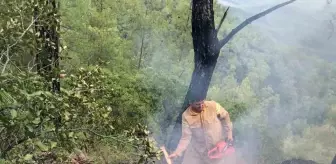 Muğla'da Yıldırım Yangınları Artıyor