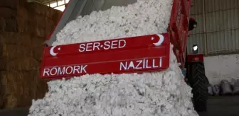 Nazilli'de pamuk sezonu açıldı