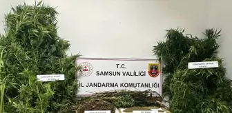 Samsun'da uyuşturucu operasyonu: 2 şüpheli gözaltına alındı