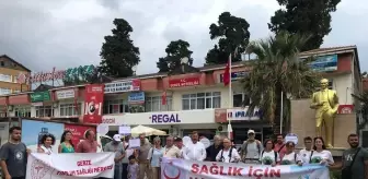 Gerze'de Sağlıklı Beslenme ve Hareketli Yaşam Yürüyüşü